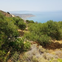 Земельный участок в Греции, Крит