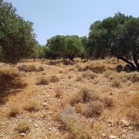 Земельный участок в Греции, Крит