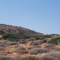 Land plot in Greece, Crete