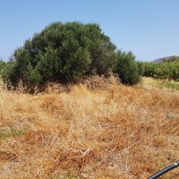 Земельный участок в Греции, Крит