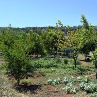 Земельный участок в Греции, Крит, Ханья