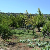Земельный участок в Греции, Крит, Ханья