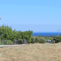 Land plot in Greece, Central Macedonia, Center