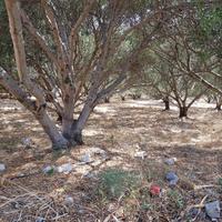 Land plot in Greece, Crete