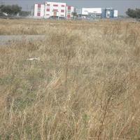 Земельный участок в Греции, Центральная Македония, Хал