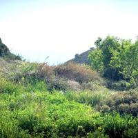 Land plot in Republic of Cyprus, Lima