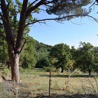 Земельный участок в Греции, Крит