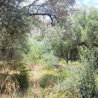 Land plot in Greece, Epirus, 5970 sq.m.