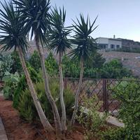 Villa in Greece, Crete, 165 sq.m.