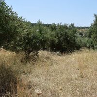 Land plot in Greece, Crete