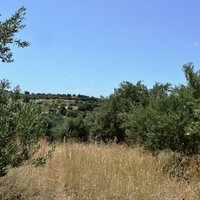 Land plot in Greece, Crete