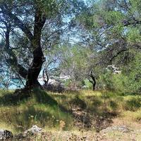 Land plot in Greece, Ionian Islands