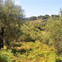 Land plot in Greece, Ionian Islands