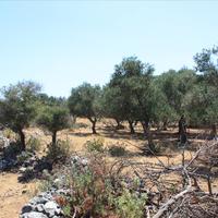 Земельный участок в Греции, Крит, Ханья