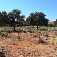 Land plot in Greece, Crete, Chania
