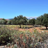 Land plot in Greece, Crete, Chania