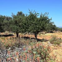Land plot in Greece, Crete, Chania