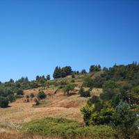 Земельный участок в Греции, Центральная Македония, Центр