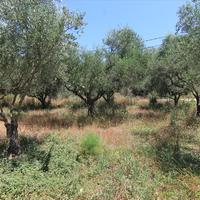 Land plot in Greece, Ionian Islands