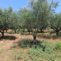 Land plot in Greece, Ionian Islands