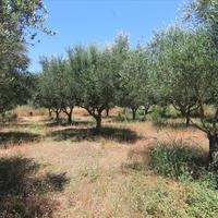 Land plot in Greece, Ionian Islands