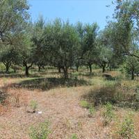 Land plot in Greece, Ionian Islands