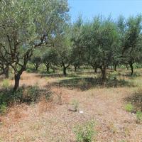 Land plot in Greece, Ionian Islands