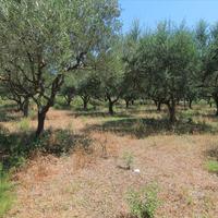 Land plot in Greece, Ionian Islands