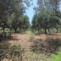 Land plot in Greece, Ionian Islands