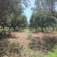 Land plot in Greece, Ionian Islands