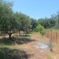 Land plot in Greece, Ionian Islands