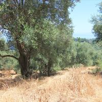 Land plot in Greece, Ionian Islands