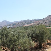 Land plot in Greece, Crete