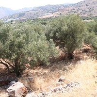 Land plot in Greece, Crete