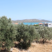 Land plot in Greece, Crete