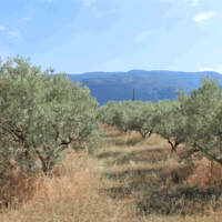 Other in Greece, Central Macedonia, Center, 200 sq.m.