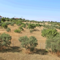 Other in Greece, Central Macedonia, Center, 200 sq.m.