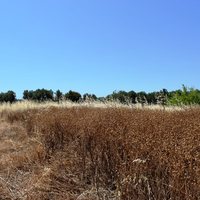 Land plot in Greece, Crete