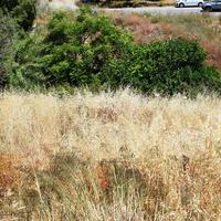 Земельный участок в Греции, Крит