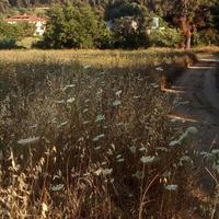 Land plot in Greece, Central Macedonia, Center