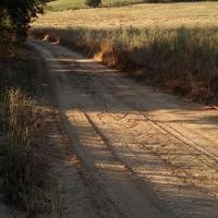 Land plot in Greece, Central Macedonia, Center