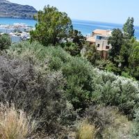 Land plot in Greece, Crete