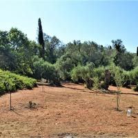 Land plot in Greece, Ionian Islands