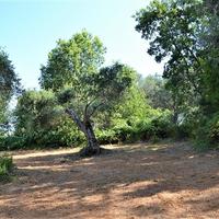 Land plot in Greece, Ionian Islands