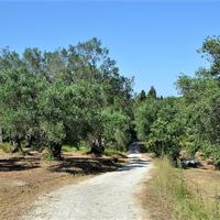 Land plot in Greece, Ionian Islands