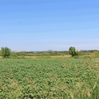 Земельный участок в Греции, Центральная Македония, Центр