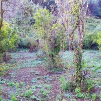 Land plot in Greece, Ionian Islands