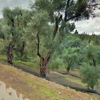 Land plot in Greece, Ionian Islands