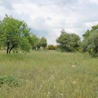 Other in Greece, Central Macedonia, Center, 300 sq.m.