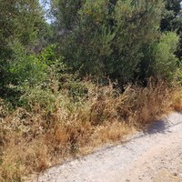 Земельный участок в Греции, Крит